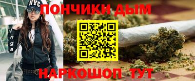 шишки Заволжье