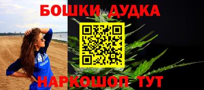 шишки Заволжье