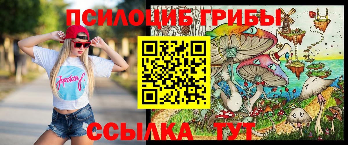 Псилоцибиновые грибы ЛСД Малгобек
